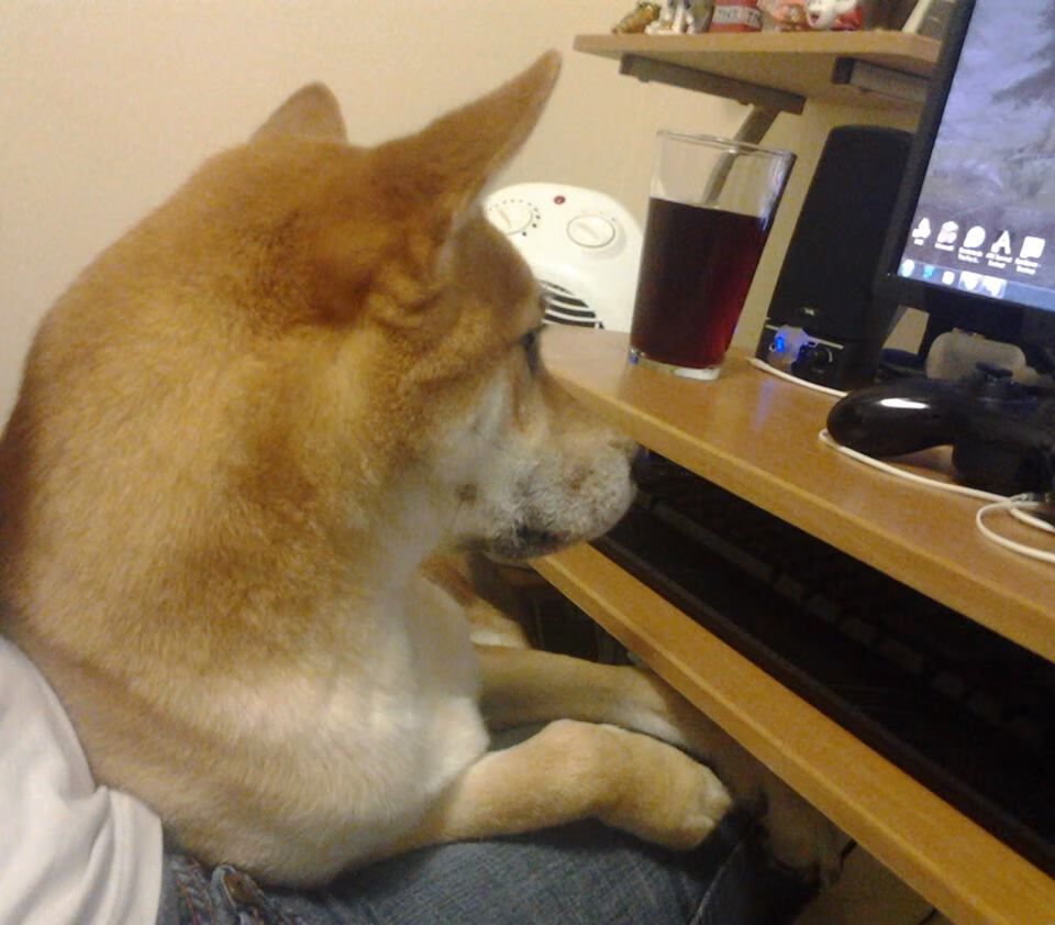 皮克全场闪耀创奇迹，希腊队稳扎稳打完胜波兰，一场战术与天赋的胜利